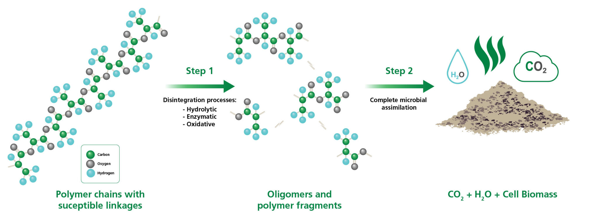 The Dangers of Oxodegradable Plastics NaturBlog, Sustainability For All