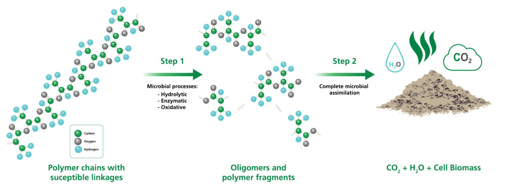 https://naturbag.com/wp-content/uploads/2022/02/Polymer-biodegradation-graphic-v6-01-1024x375.jpg