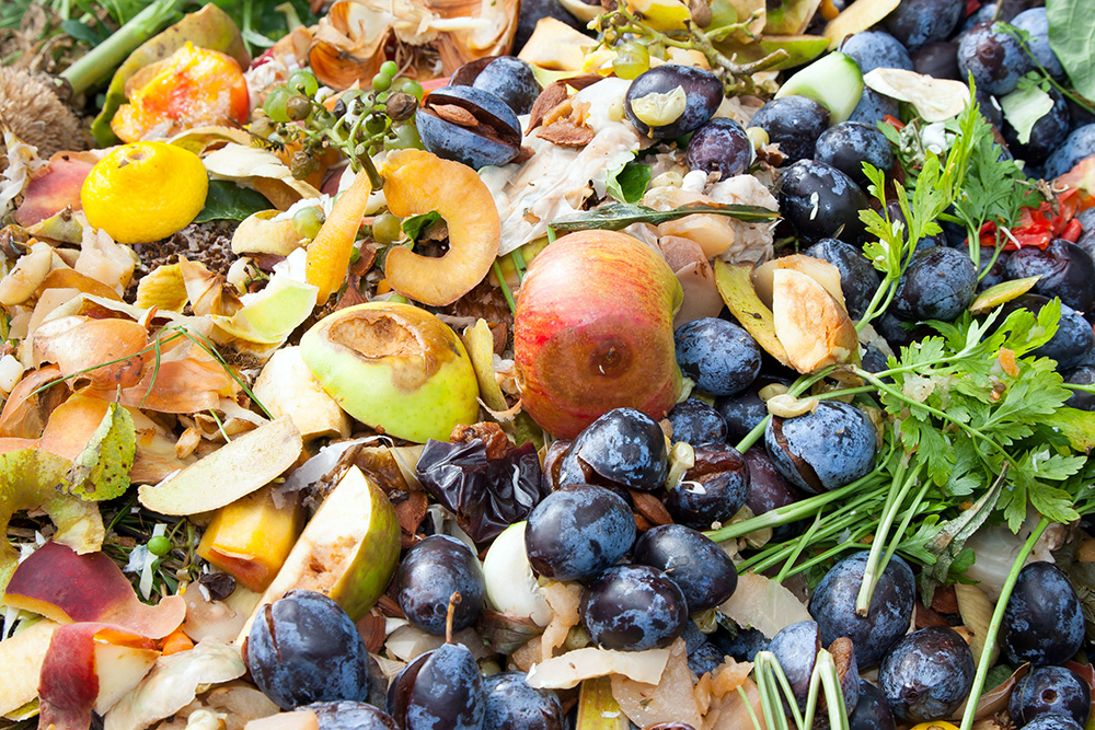 https://naturbag.com/wp-content/uploads/2022/02/food-waste-mix.jpg