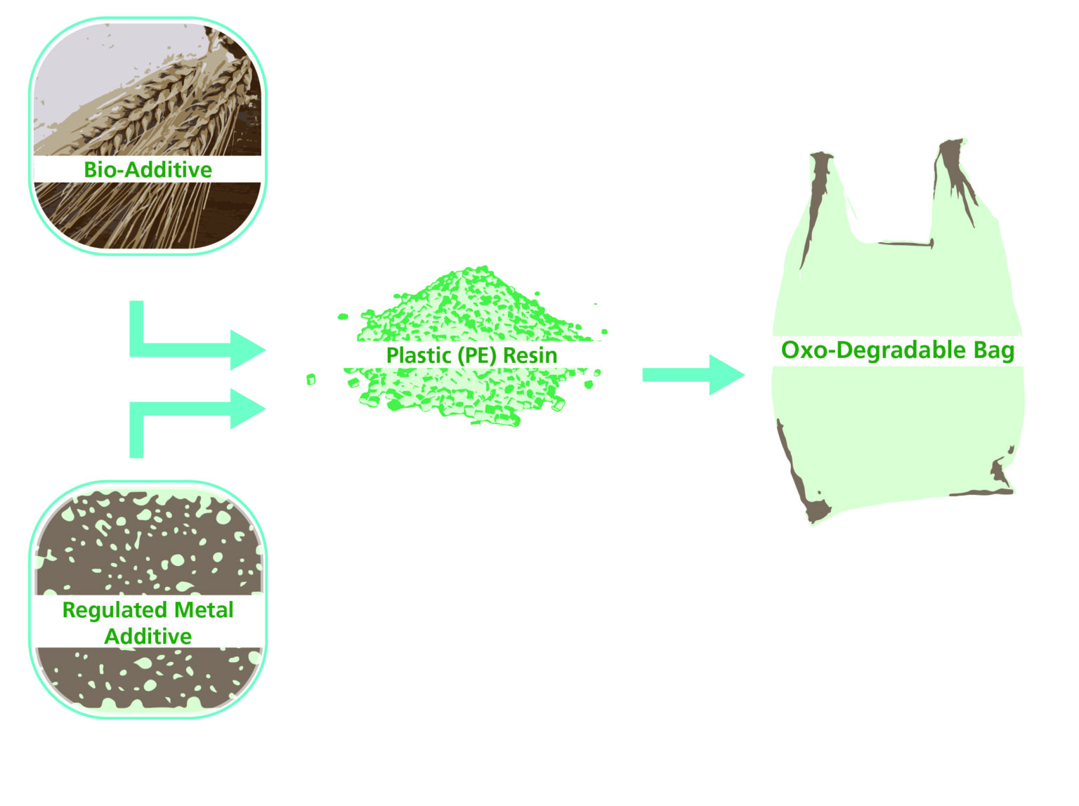 What are Oxodegradable plastics? The Dangers of Degradable Plastics